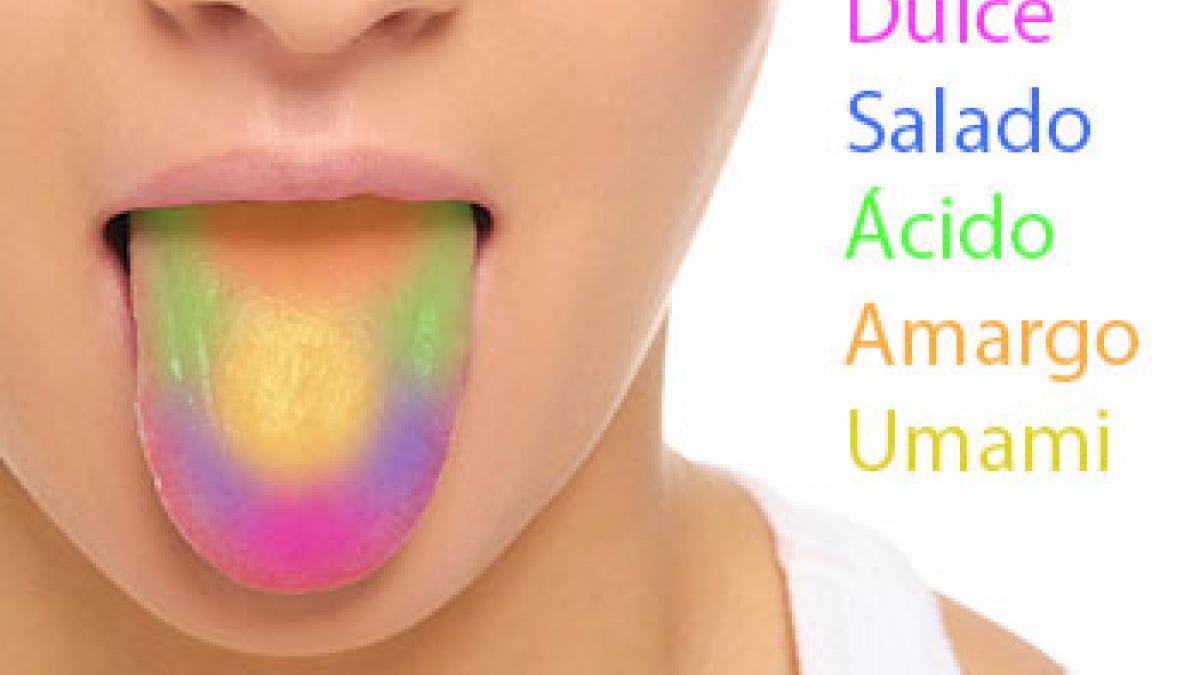 Sabor y Aromas: Ingredientes Clave para Un Resultado Exquisito